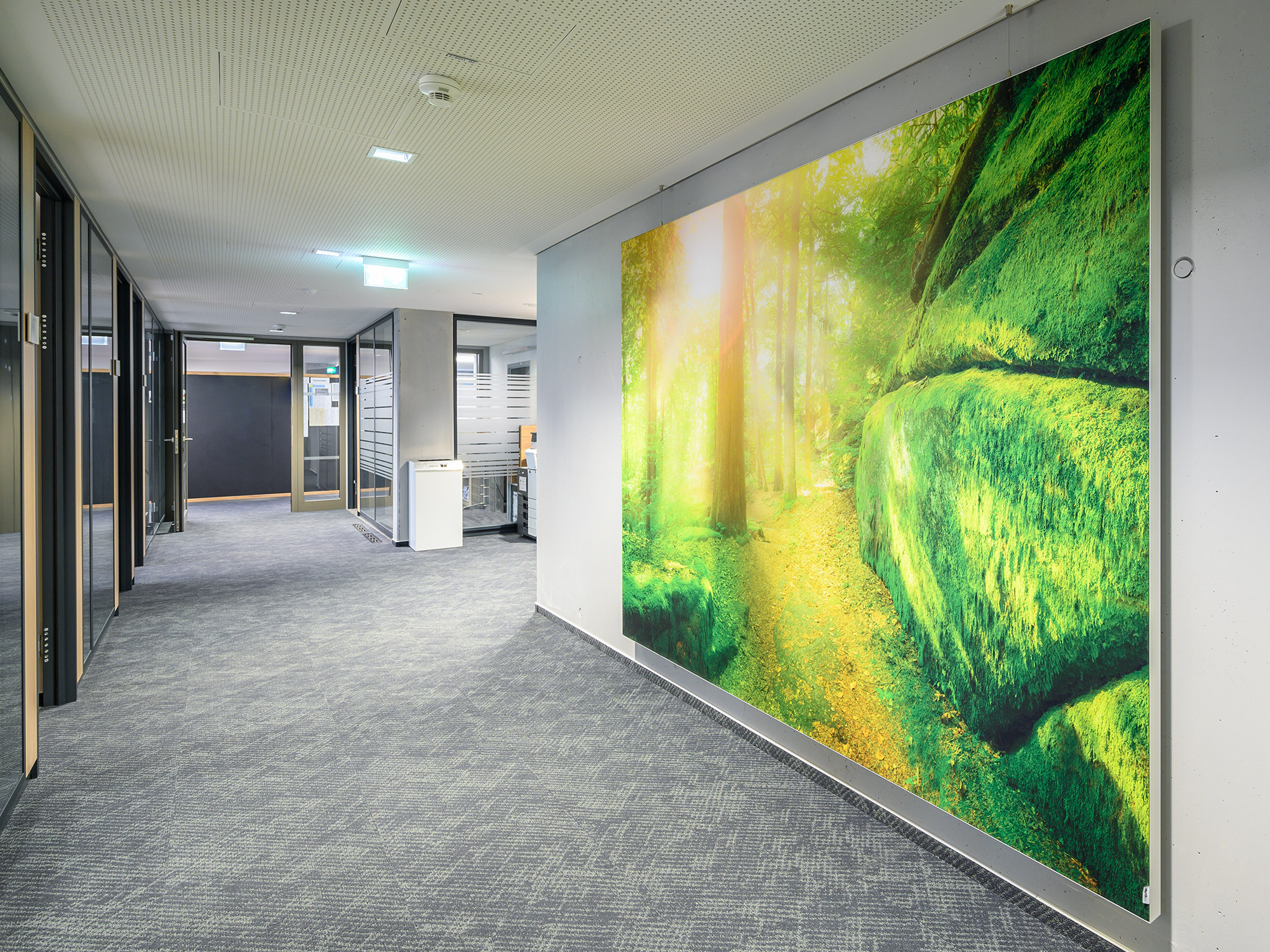 CG Car-Garantie &ndash; Akustikbilder und Schallabsorber von SCHALLSAUGER&reg;