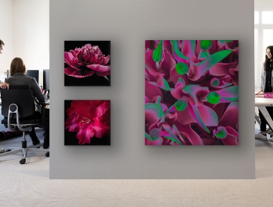 Wand Schallabsorber und Akustikbilder