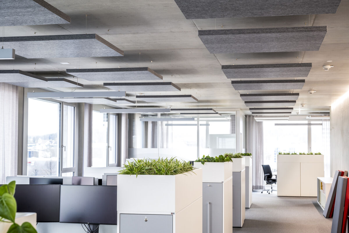 Frameless Sky graue quadratische Akustik-Deckensegel als Schallabsorber über Arbeitsplätzen mit begrünten Sideboards