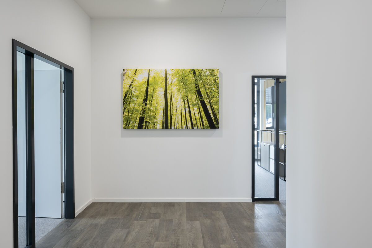 Frameless Picture rahmenloses Akustikbild mit bedrucktem sonnigem Waldmotiv als Schallschutz an einer hellen Flurwand