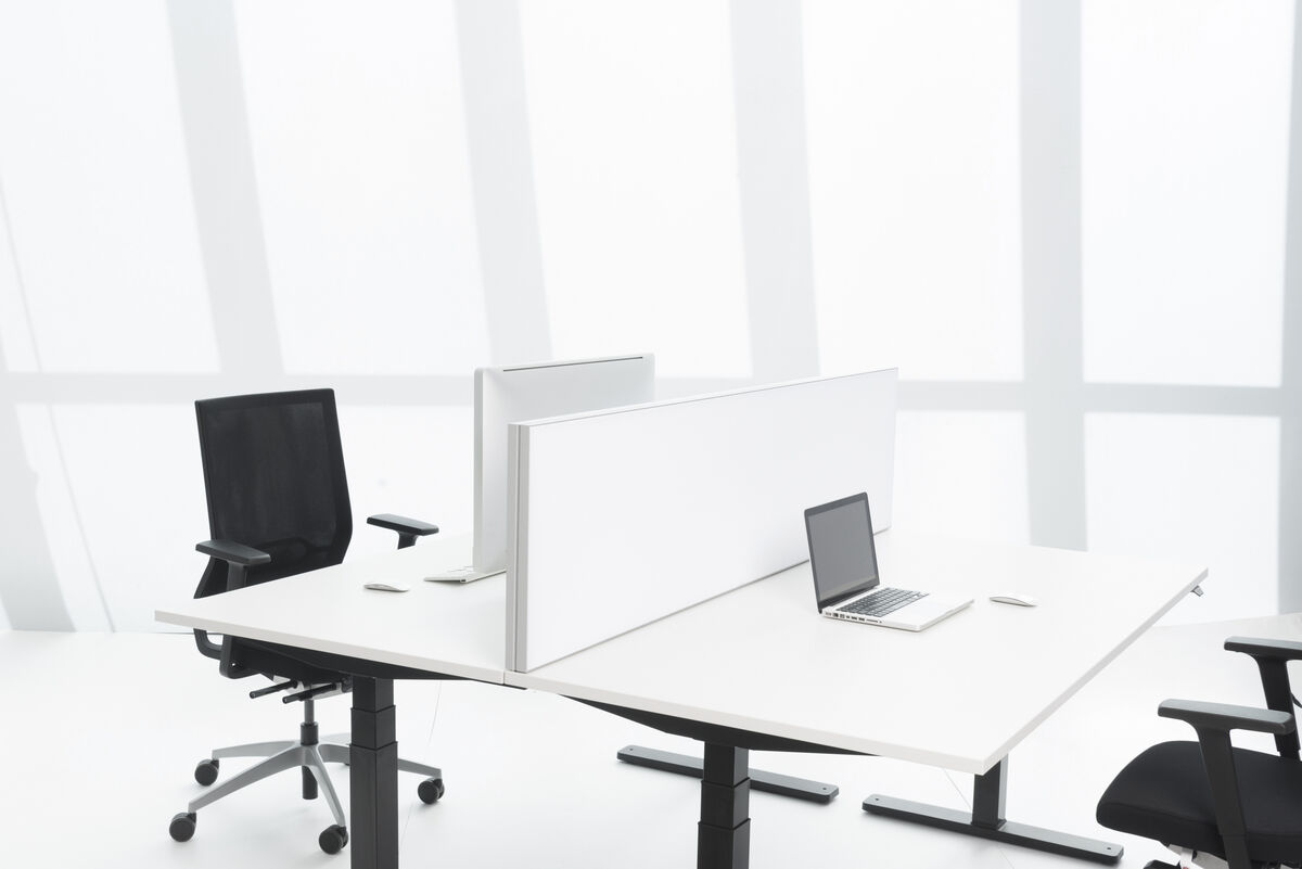 Alu Line Table weiße Akustik-Tischtrennwand als Schallschutz zwischen zwei höhenverstellbaren Schreibtischen im Büro